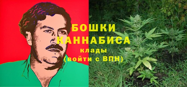 гидра Белоозёрский