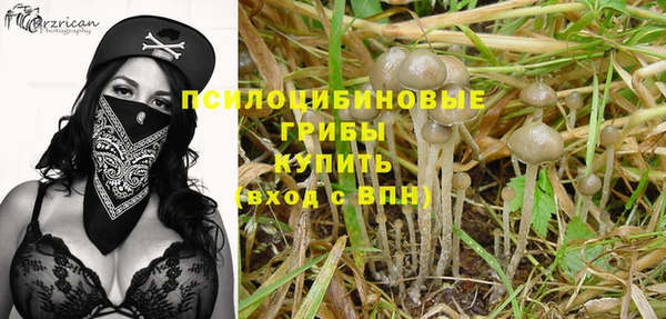 гидра Белоозёрский